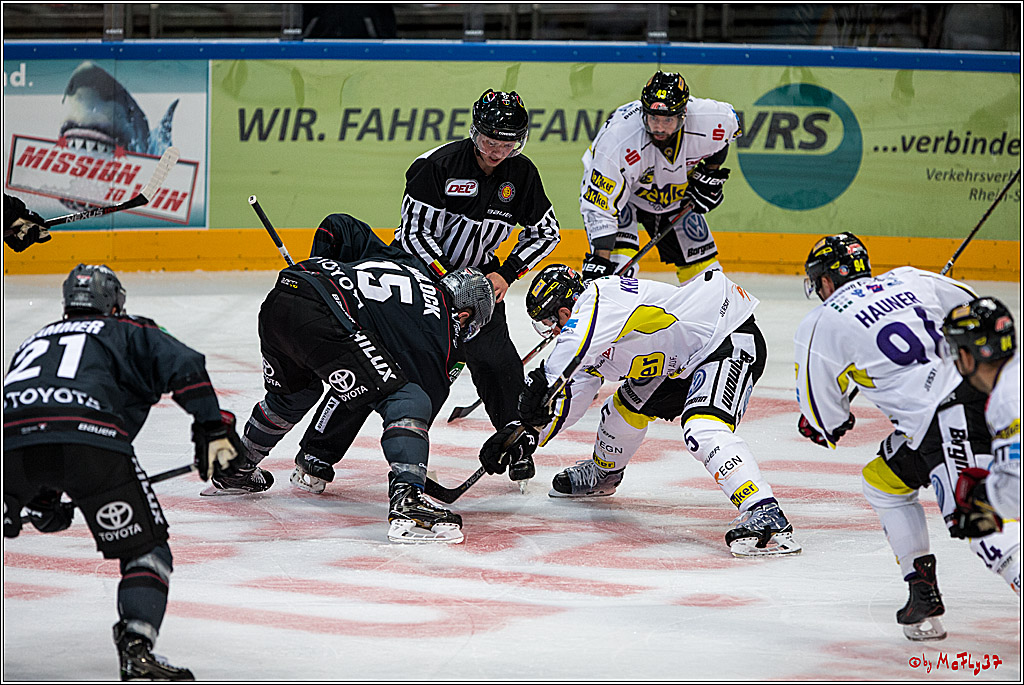 Koelner Haie - Krefeld Pinguine , 23.09.16(KW38)
